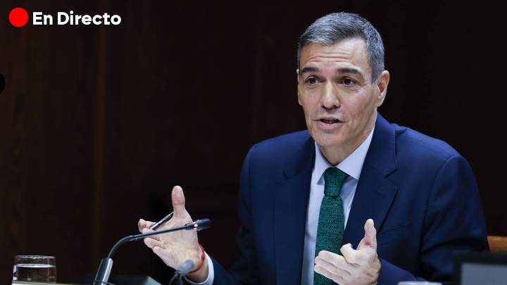 Sánchez comparece en el Senado, en directo | Máxima tensión entre Sánchez y Alejo Miranda (PP): "Entiendo que se avergüence de su hermano. Le duele la verdad"
