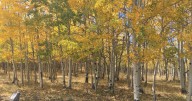 Fun-filled events across Colorado this weekend October 3
