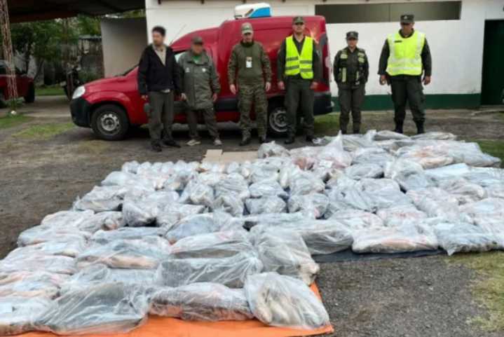 Corrientes: decomisaron 950 kilos de pescados que eran trasladados ilegalmente