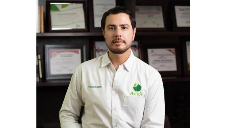Detienen a ‘El Pantano’, presunto autor intelectual del homicidio de líder limonero