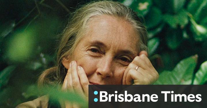 Pioneering conservationist Jane Goodall dies aged 91