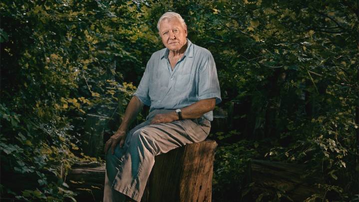 David Attenborough Becomes Oldest Daytime Emmys Winner Ever at 99