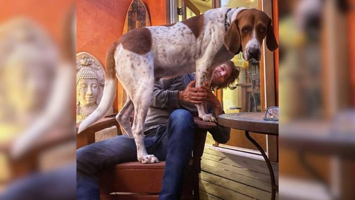 California Dog Once Trapped In Lab Tests Begins A Heartwarming New Journey With Rescuers