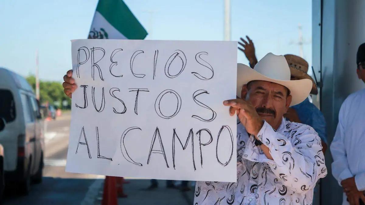 Gobierno logra acuerdo con productores de maíz