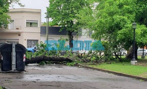 ¿Cuántos milímetros de agua cayeron en La Plata durante el temporal? El ranking barrio por barrio