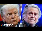 Serious or trolling? Bannon says Trump is 'gonna be president' for third term
