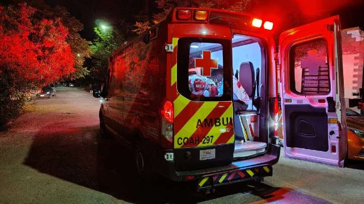 Niño de 8 años es brutalmente atacado por una perrita callejera en colonia Santa Sofía de Torreón