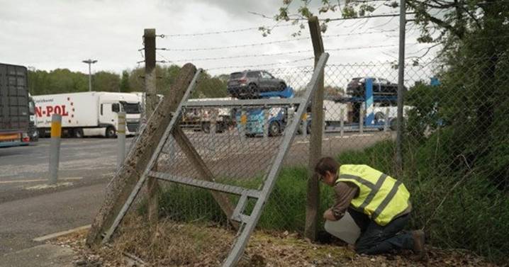 Deadly virus fears as tropical mosquitoes detected at two sites in UK