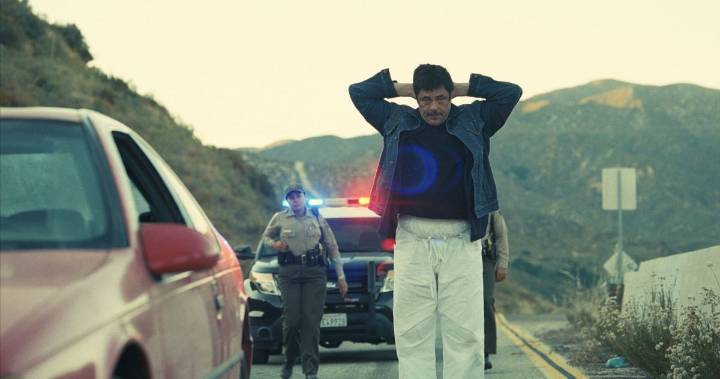 Review: One Battle After Another Sees America Clearly