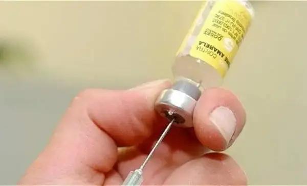 Buenos Aires alertó por una posible epidemia de fiebre amarilla: "Vulnerables"