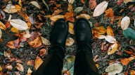 Stevens Point announces leaf pickup and extended yard waste drop