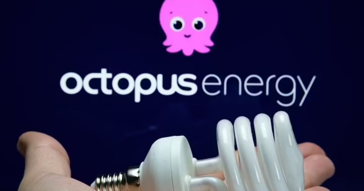 Octopus Energy's eight hacks to save nearly £600 a year on your energy bill