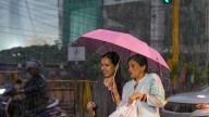 Tamil Nadu school holiday: Are schools, colleges closed in Chennai?