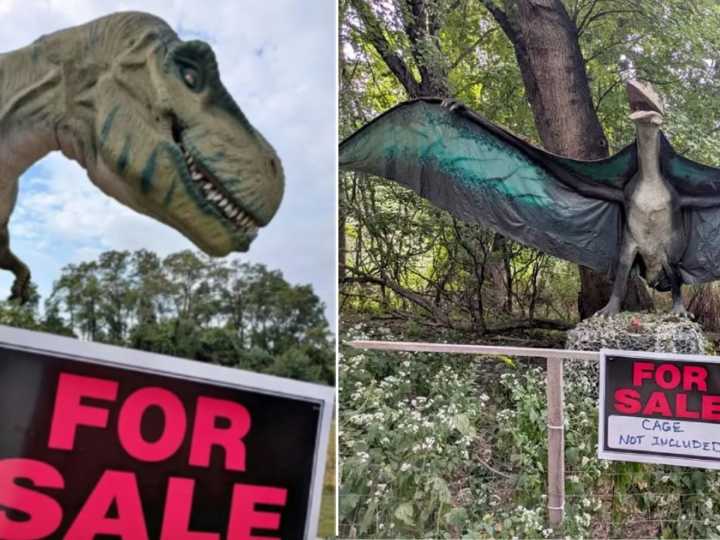 Un parque temático cierra sus puertas y vende sus dinosaurios de tamaño real: cuánto cuestan y quiénes pueden comprarlos