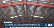 PETA offers $5,000 to transition school to plant-based agriculture after pig's death