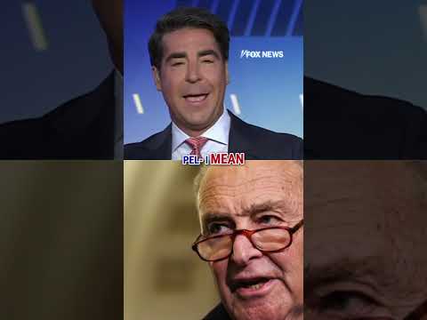 Watters: Schumer looks 'REALLY DUMB' #shorts #usa #politics #foxnews #us #politicalnews