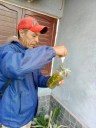 Con tendencia en baja, cerraron los casos de dengue en esta semana