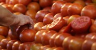 IPC de septiembre sube 0,5% en el mes de la patria: Tomates, pan y transportes en bus tuvieron alzas