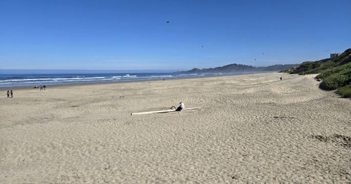 OHA asks for public help picking beaches to monitor, copes with loss of federal data