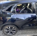 Deer crashes into car, breaks back window: Westlake Police Blotter