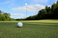 Does Minnesota have more golf courses than Arizona?
