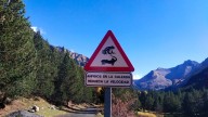 ¡Cuidado con los sapos y las salamandras en el Posets