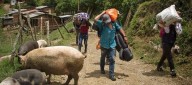 Enfrentamientos del ELN, Clan del Golfo y FARC causan desplazamiento de 2.500 personas
