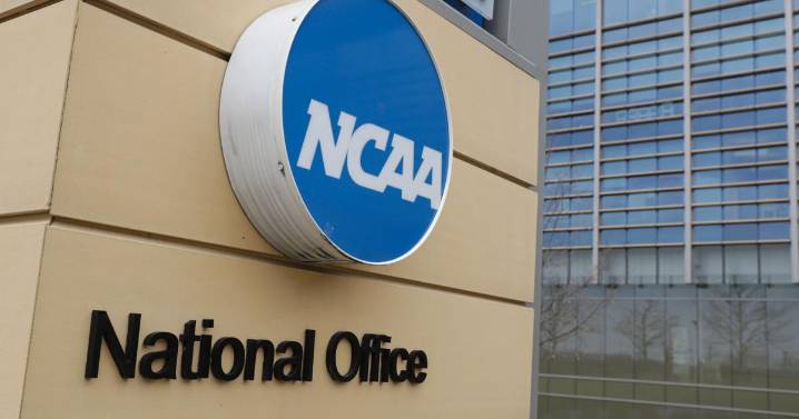 COLUMN: Cheating in the NCAA? Say it isn't so