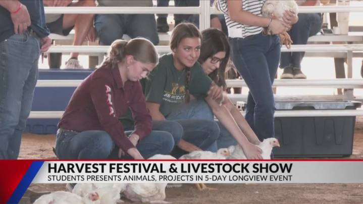 Students display livestock talents at Harvest Festival in Longview