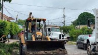 Fuertes Lluvias Derriban Árboles de 100 Años en Tampico