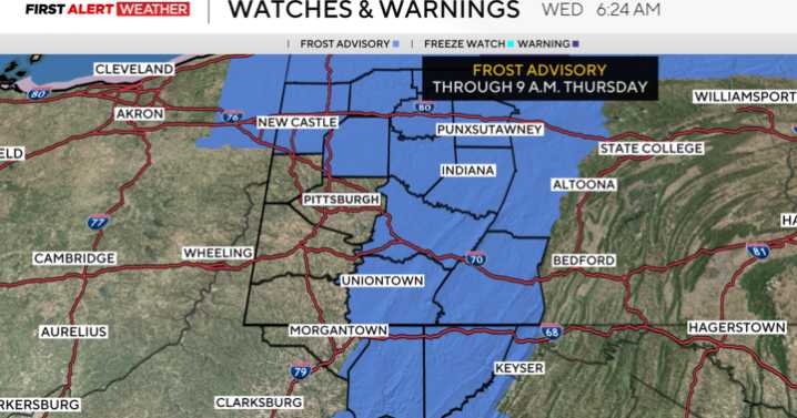 Tomato plants in the Pittsburgh area will need to be brought inside with frost possible tonight