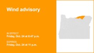 Lower Columbia Basin of Oregon and Foothills of the Northern Blue Mountains of Oregon placed under a wind advisory