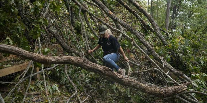 Wildfire risk grows in western North Carolina as gusty winds dry out trees downed by Helene