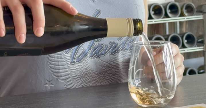 RAISE A GLASS: Willcox Wine Country Fall Festival returns this weekend