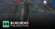 Go trick-or-treating among the wildlife in Philadelphia Zoo's "Boo at the Zoo"