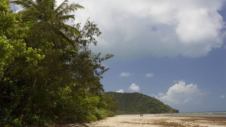Teen boy recovers in hospital with leg, abdominal injuries after being mauled by crocodile in Far North Queensland