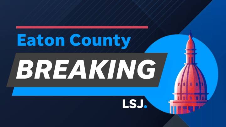 Eaton County woman convicted of embezzling money from senior