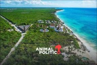 Diputados aprueban reforma para garantizar el acceso libre a playas; pasa al Senado