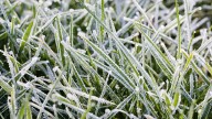 Chicago weather: Frost risk returns tonight
