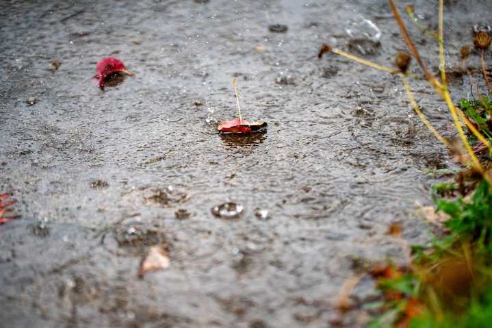 Warm Tuesday in Portland gives way to cooler, rainy days ahead
