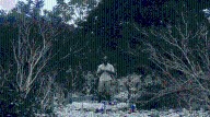 Yo vi tres luces negras: la memoria que canta en la selva