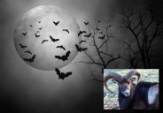 Capricornio: ¿Cómo afecta la Luna en asuntos sentimentales este finde?
