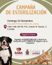 Esterilizará DABA mascotas el próximo domingo