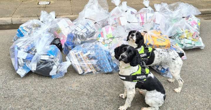 Thousands of illegal cigarettes and vapes seized from 'hidden rooms' in Lincolnshire shops