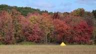 Michigan colors are brightening the landscape. Historic trains showcase scenery