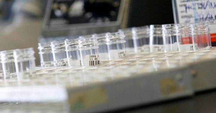 La OMS alerta sobre la creciente resistencia global de las bacterias a los antibióticos