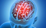 Descubrimientos del siglo en la ciencia: se supo qué le pasa al cerebro tras la muerte