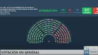 Ley DNU: cómo votó cada diputado en el Congreso y por qué regresa al Senado