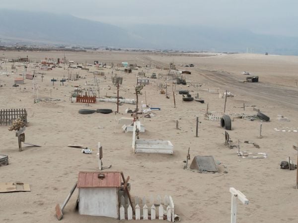 Más de 5 kilómetros mide ya el cementerio de mascotas ubicado en el sector de la Rinconada