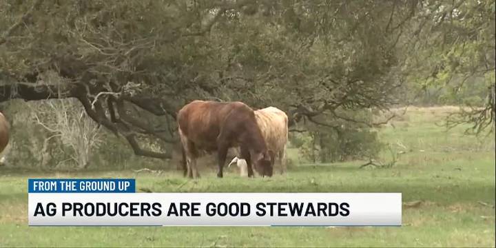 From the Ground Up: Stewards of the land